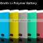 Dual USB 10000mah Li-Polymer Power Bank