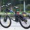 Seagull,cheap electric bike 800w