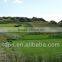 15mm height artificial grass for putting greens