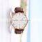 R0792 for promotion gifts quartz watch ,stainless steel back case quartz watch