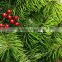 Green Christmas tree Cheap high quality manufacturers Red berries decorate the Christmas tree