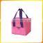Promotional Insulated Lunch Cooler Bag for Frozen Food