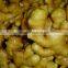 Chinese Low Price Ginger