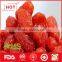 Hot sale dried red cherry tomato from China