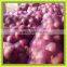 Fresh Yellow/Red Onion Supplier/Producer/Farmer
