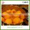 hot sale with high quality from Shandong Province Chinese canned yellow peach