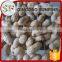 Organic roasted peanuts in shell processing