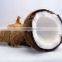 Vietnam desiccated coconut high-fat - Best quality by HAGIMEX