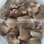 price for mushroom oyster vacuum packed oyster mushrooms oyster mushrooms 1kg