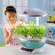 pot plant carrier