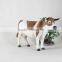 New best sell jumping animal toy cow