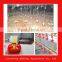 chicken poultry breeding house equipment