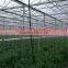 2017 Wholesale indoor farm lighting for greenhouse tomatoes/cucumber/rose etc.,