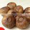 Fermented chinese solo black garlic 500g/bag hot for sale in 2016 --HC Company