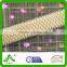 Honeycombed Plush Back Picot Edge Bra Strap Underwear Webbing Shoulder Elastic