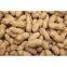 proundnuts (peanuts) for sale