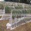 Special useful anti bird net for protecting farm to catching bird