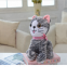 Latest Plush Toy  Wholesale Stuffed Animals Cat With Star Design