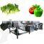 High Pressure Automatic Leafy vegetable Air bubble Washing Machine Line low price