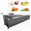 Industrial Automatic Vegetable Washing Machines Fruit Washer