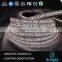 SMD 3528 supplier 5m 120led/m waterproof led strip CCT adjustable addressable white led strip