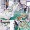 Industrial conveyor mesh belt dryer / mushroom drying tunnel machine for noodle
