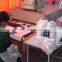 Automatic High Efficiency Screen Printing Drying Tunnel Machine