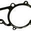 Auto pump gaskets