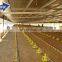 chicken house for poultry chicken farm in philippines