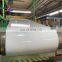 24 guage color coil coating ral 9024 ral 3005 ral 5016 gi ppgi coil 0.4mm thick ppgi coil