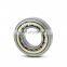 NTN double row eccentric bearing 100752904