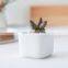 Home Decorative Garden Flowerpot Flower Pots Mini Cheap Ceramic Wholesale Modern Simple Style White Plants Planting Desktop