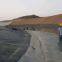 HDPE Sheet