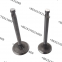 R175 S195 1100 1110 1115 Diesel Engine Valve