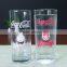 8oz Custom logo glass cold water color changing magic water cup