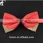 Stylish unisex blank silk ties bow ties party supplies