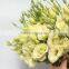 Fragrant aroma hot selling lisianthus seeds for sowing