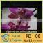 high quality P6 indoor full color led display screen price