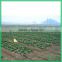 Hot! High quality best price sap for agriculture
