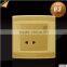 2015 the newest BS standard PC 2 pin wall socket with 1 gang switch Gold color