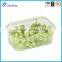 high-quality Plastic Hinged Food Box/container