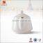 New Design White Porcelain Tea Pot