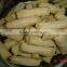 Delicious Food Sinocharm Frozen Vegetable Spring Roll