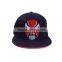 Black Cotton Hand Made Drawing Flat Brim Strap Back Cap