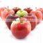 Food Additives DL-Malic Acid