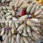 hot selling wedding decoration supplies in yiwu, portable backdrop