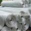 new product Galvanized welded wire mesh/ welded wire mesh fence for sale