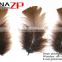 ZPDECOR Unique Plumage Crafts Factory Bulk Dyed Brown Turkey T-Base Body Feathers for Sale