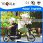 High quality three wheels kids bike trailer freight train for 2-5 years old kids