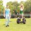 CHIC-GOLF big wheeled balance electric moped